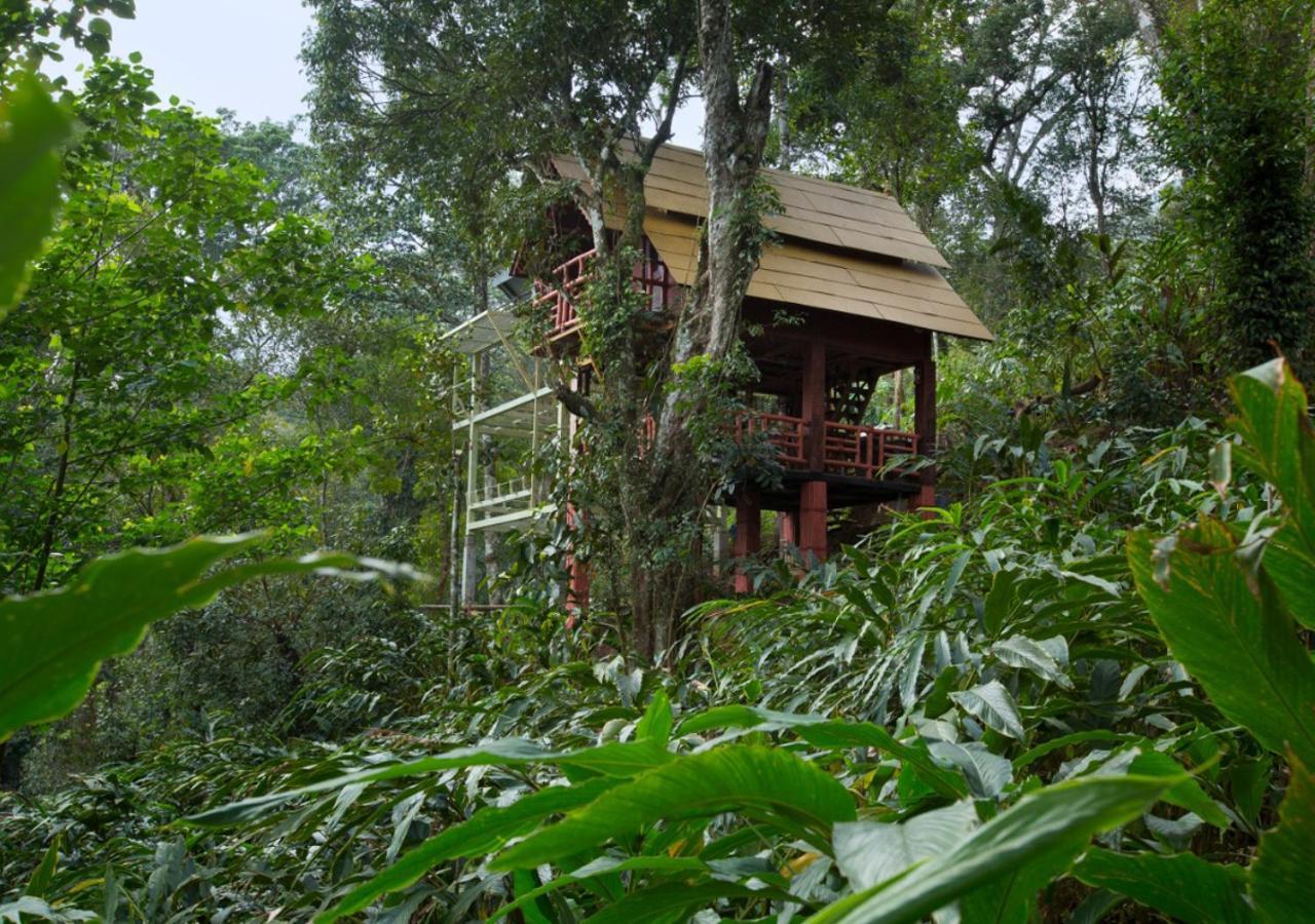 Hotel Bamboo Dale à Munnar Extérieur photo