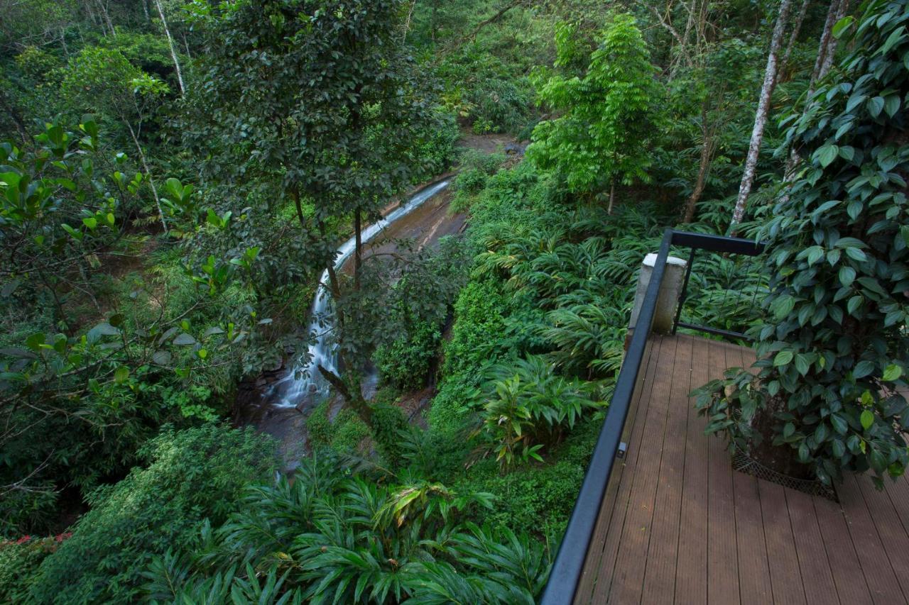 Hotel Bamboo Dale à Munnar Extérieur photo